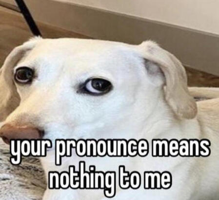 THE dog